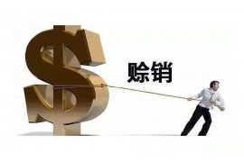 邹城企业清欠服务